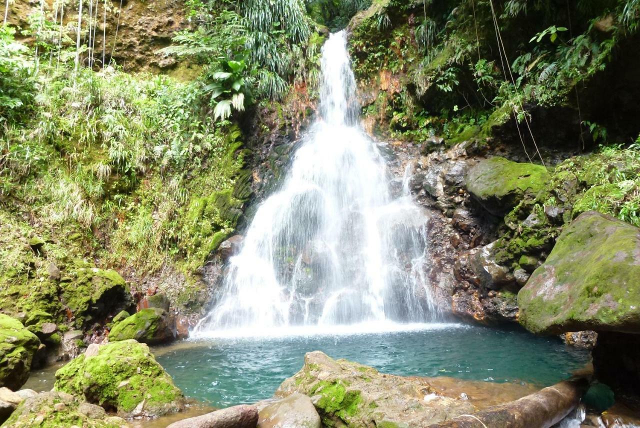 Domaine De L'Anse Des Rochers Saint-Francois  Exteriör bild